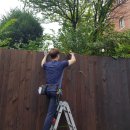 본동카페 이미지