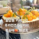 컵오브커피복대1동점 | [천안 불당동] 감성 카페 추천 ✨ "투카인즈오브커피" 복숭아 타르트 & 휘낭시에 디저트 맛집 후기