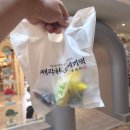 동문로 | 제주 제라헌 오메기떡 후기 | 부모님 선물로 택배 보내본 제주도 선물 추천