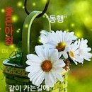 즐거운하루 이미지