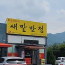 새말반점
