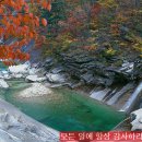 금수강산 이미지