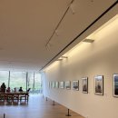 카르마코리아 | [공지] 경주 벚꽃 여행 2일차 후기 꿀팁 : 오아르미술관 불국사 석굴암 부처님오신날 두부마을 경주얼굴...