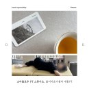 공덕PT 추천, 물리치료사가 직접 알려주는 재활PT 소마플로우 PT 스튜디오
