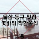 꽃바위 외국인 특화거리 이미지