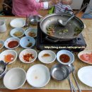 동태사랑 - 용인시 처인구 | 동태사랑