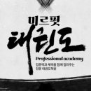 미르태권도 아카데미 네이버블로그