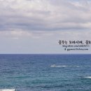 바다정원 이미지