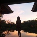 시로 에이 풀빌라 | 푸켓반얀트리 스파생츄어리/반얀트리 스파생추어리 후기(조식,수영장,풀빌라,마사지)