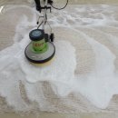 선학 세탁 이미지