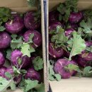 동식농장 이미지