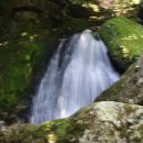 루의하루 이미지