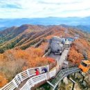 함양산삼축제가 열리는 함양 여행 이미지