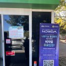 비자림 | 제주 동쪽 가볼만한 곳 | 천년의 숲 비자림 방문 후기