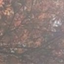 포근한치과의원 이미지