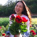 칠전농장 이미지