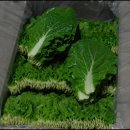 짱구농장 이미지