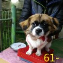 구월지구대 이미지