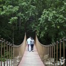 운흥사 천룡탱화 이미지