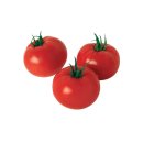 토마토헤어 이미지