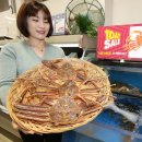 세일메가마트