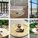 베툴라 자작나무숲 펜션 이미지