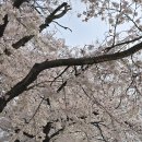 향수100리길 이미지