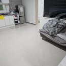 남이섬설3 이미지