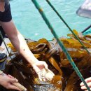 바다농장 이미지