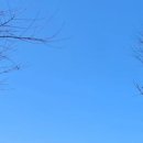 울진봄날애햇살 이미지