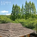 솔숲길 | 천안펜션 솔숲펜션 방문 후기 가는길 주차