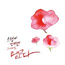 감성 수채화 캘리그라피 이미지