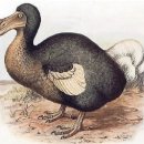 성밖자동차서비스 이미지