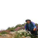지리산천상화원
