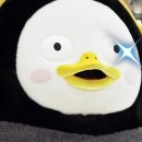 메트르아티정 이미지