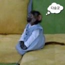 남경상사 | 너무나도 길다 3얼