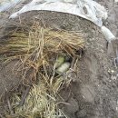 경희농원 이미지