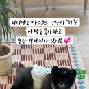 인동중앙로6길-1 이미지