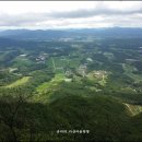 진기금다길 이미지