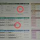 복부비만 이제 대세는 해독이다, 한방다이어트