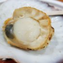 조개나루터 이미지