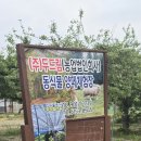 꽃동산어린이집 | 두드림 농장 포항 아이랑 가볼만한곳 편하게 쉬다 온 후기
