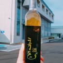 제주본초협동조합 이미지