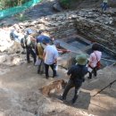 거창수지 이미지