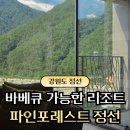 알파인 팬션 | 강원도 정선｜파인포레스트 알파인 리조트 스파스위트 내돈내산 후기 (바베큐 가능)