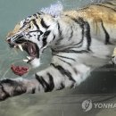 meat고 이미지