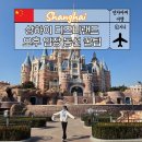 주식회사 동산 | 랜드 주토피아 티켓 dpa (오후 입장 꿀팁, 최적 동선, 불꽃놀이 1부 2부, 트론 주요 어트랙션 다 탄 후기)