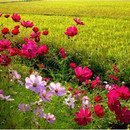 밀양현대주유소 이미지