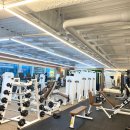 짐에센셜 이미지