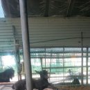 태웅농장 이미지